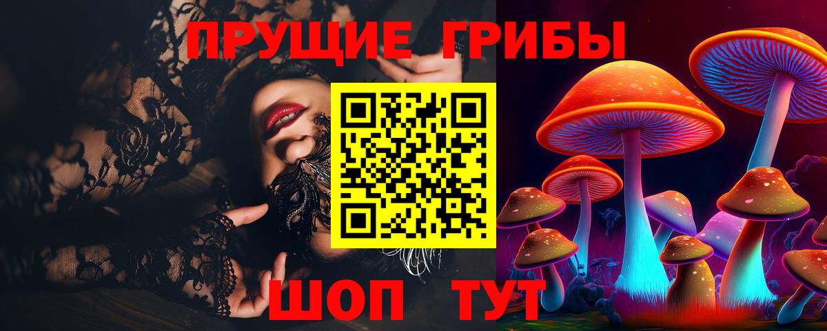Набережные Челны  Галлюциногенные грибы Psilocybine cubensis  Вход с VPN 
